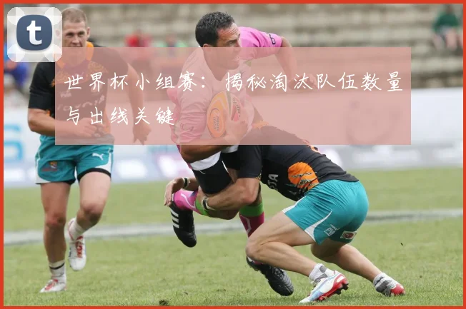 世界杯小组赛：揭秘淘汰队伍数量与出线关键