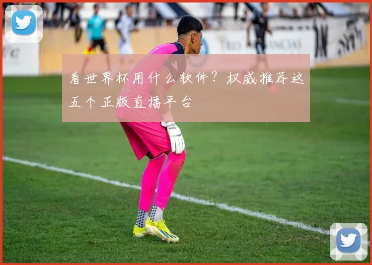 看世界杯用什么软件?权威推荐这五个正版直播平台