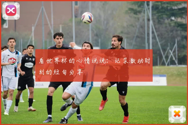 看世界杯的心情说说：记录激动时刻的短句分享