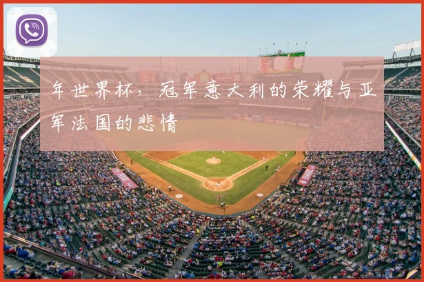 年世界杯，冠军意大利的荣耀与亚军法国的悲情