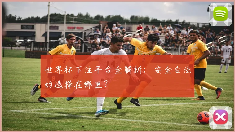 世界杯下注平台全解析：安全合法的选择在哪里？